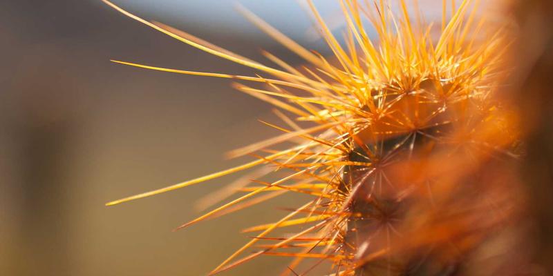 深圳集盛IC芯片采购全攻略：流程、起订量与交期深度解析