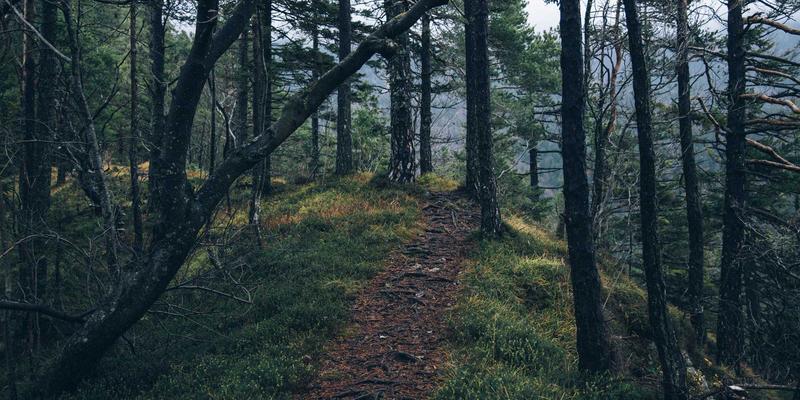 赋能万物智联：深圳集盛IC芯片如何成为物联网终端设备的核心引擎